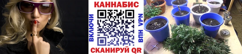 Каннабис White Widow Томари